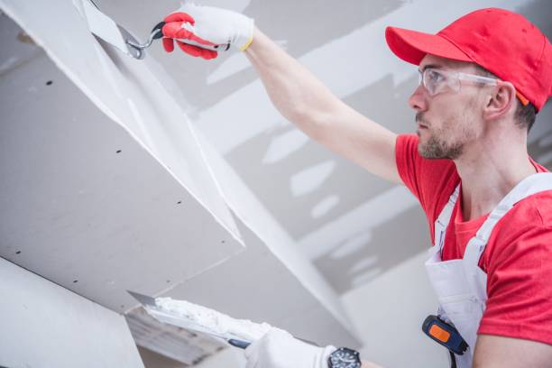  Ransomville, NY Drywall & Painting Services Pros